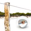 UVKDEENK Wire Fencing Staples Nickel Plated Farm Garden-6