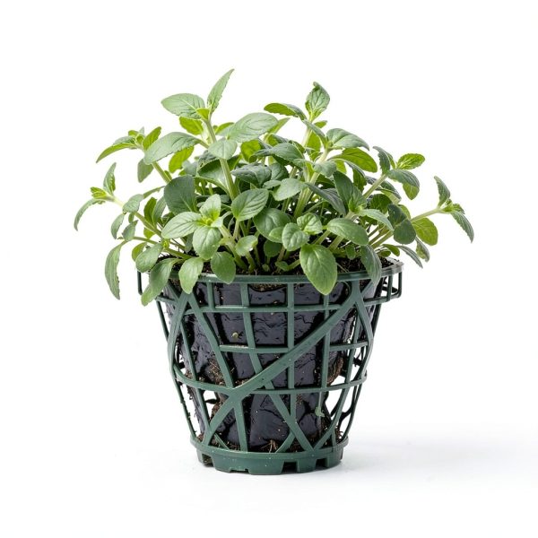 CVNDKN Galvanized Steel Landscape Staples Adjustable 100-3
